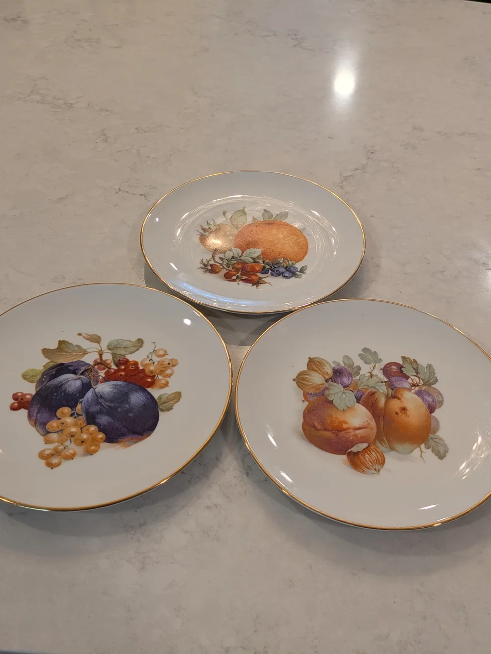 Schumann Arzberg Decorative Fruit Porcelain Dessert Plates with Gold Trim